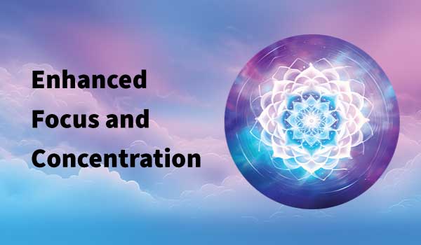 learn to meditate